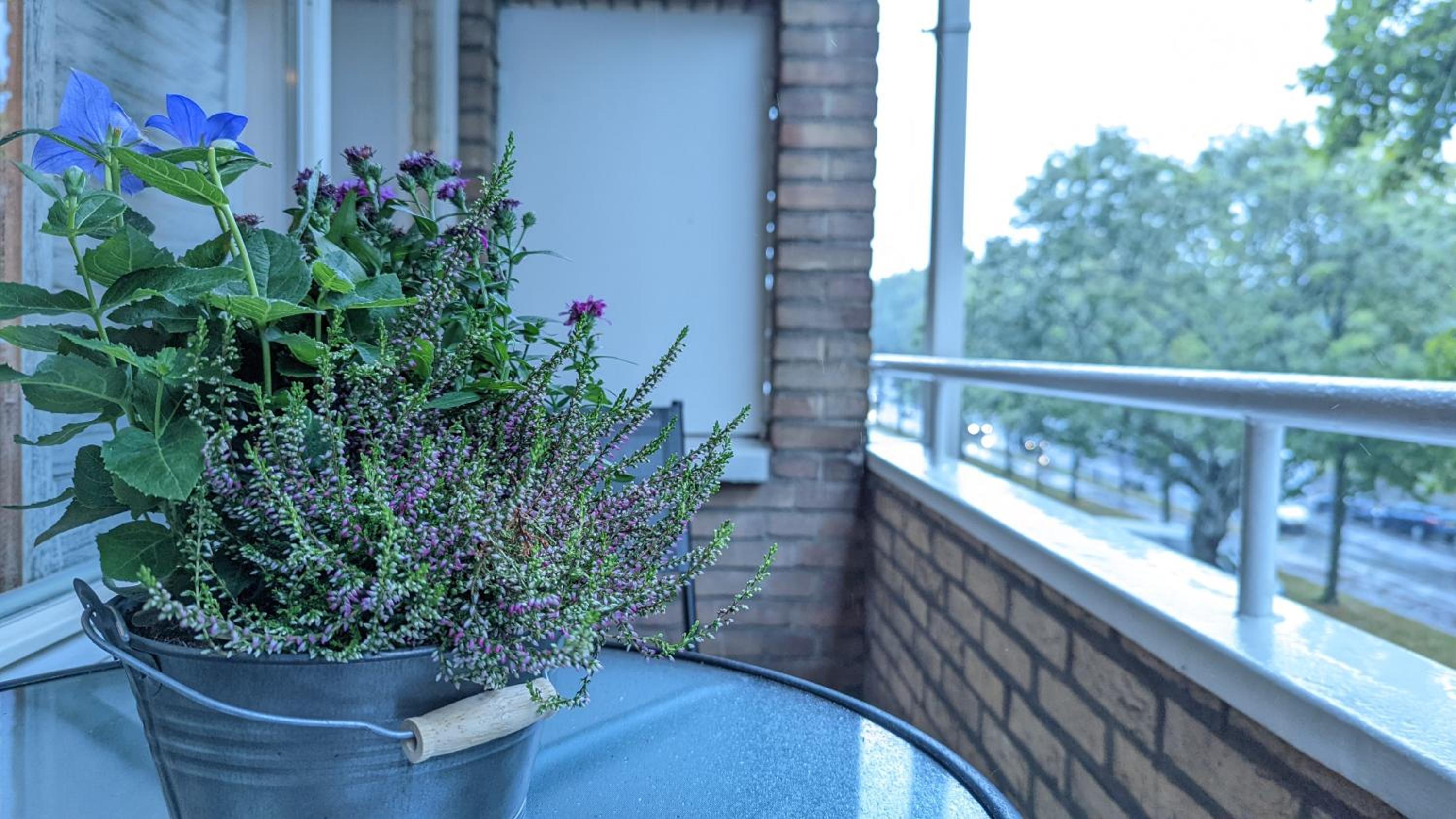 Hotel Crash'Nstay - Maison Du Ville Short|Long Term