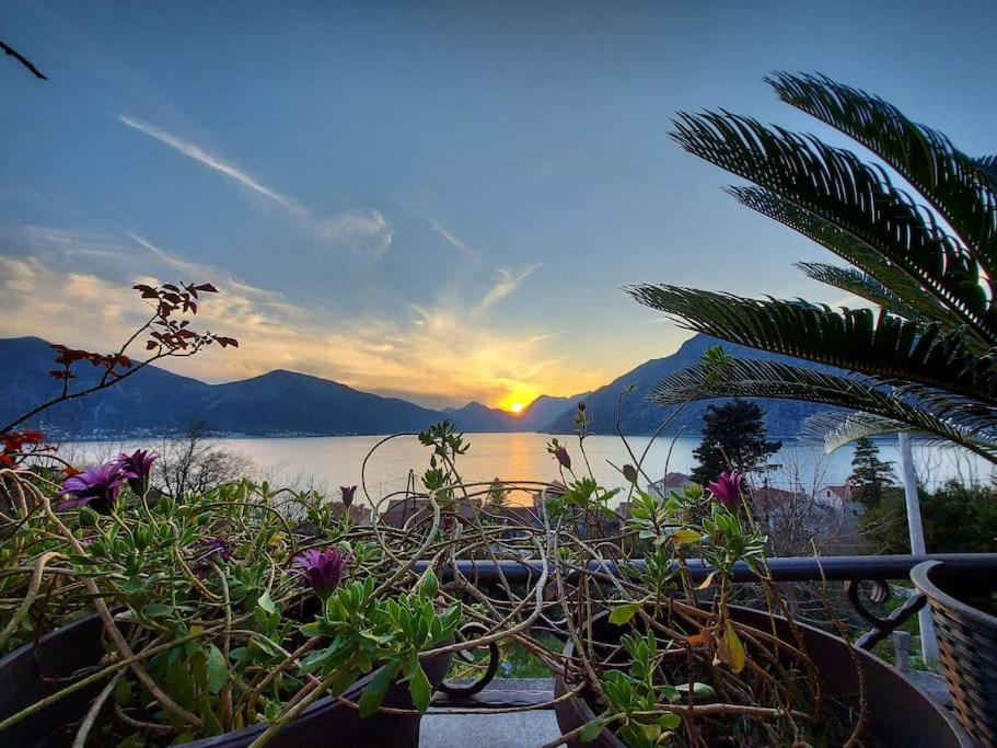 Apartment Terazza Di Ljuta