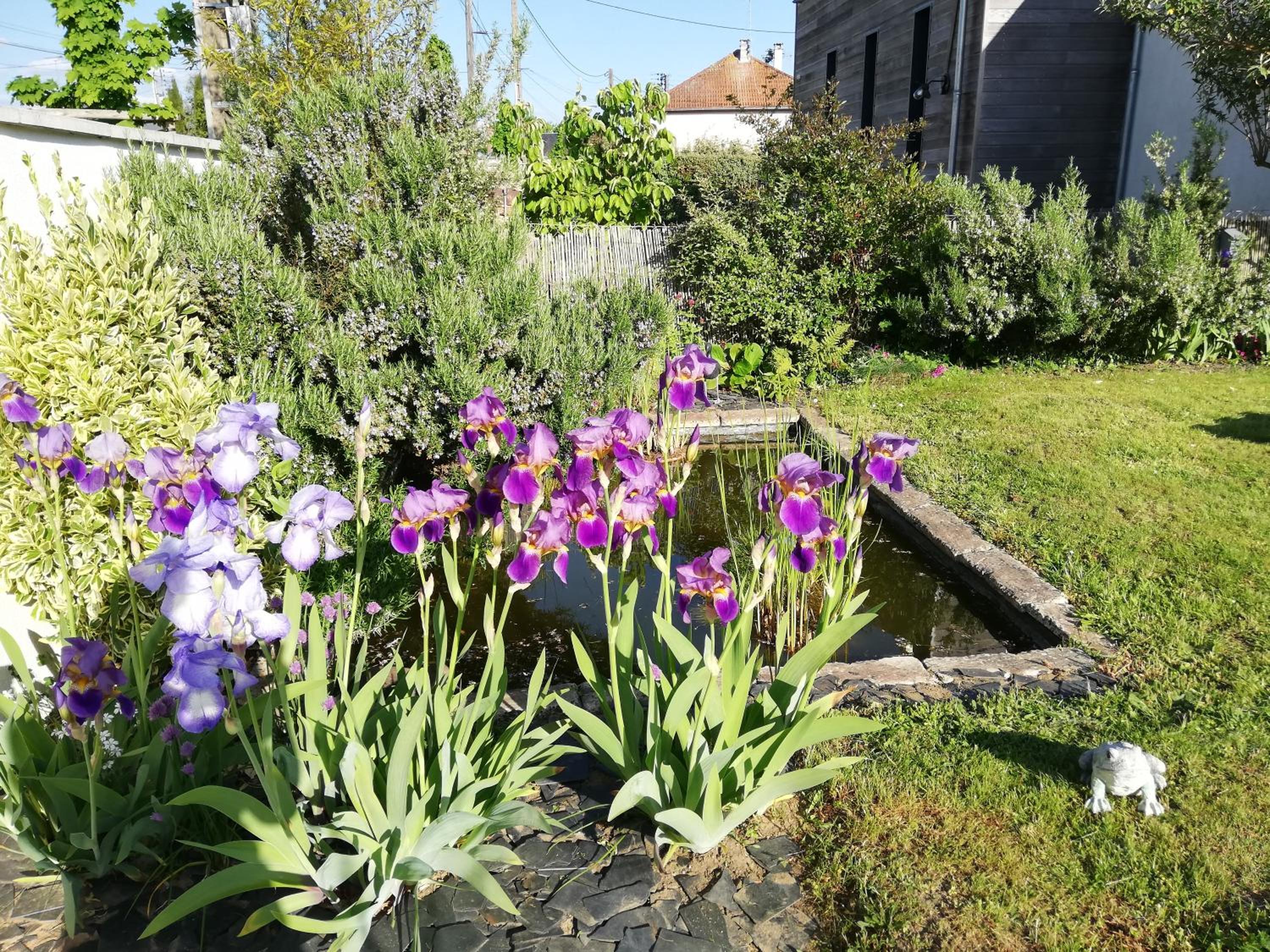 Photo 9