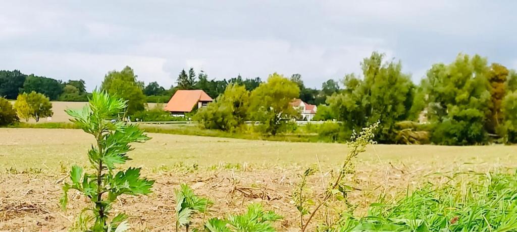 Familienhof Müritz