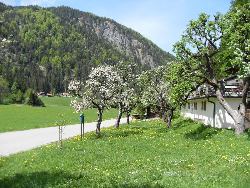 Gasthaus - Pension - Café Dörfl