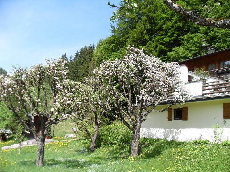 Gasthaus - Pension - Café Dörfl