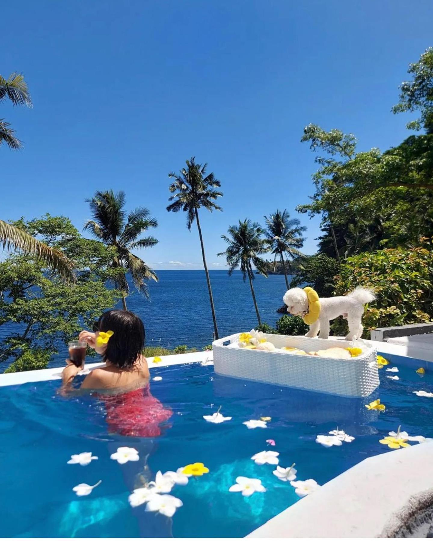 Bintana Sa Paraiso