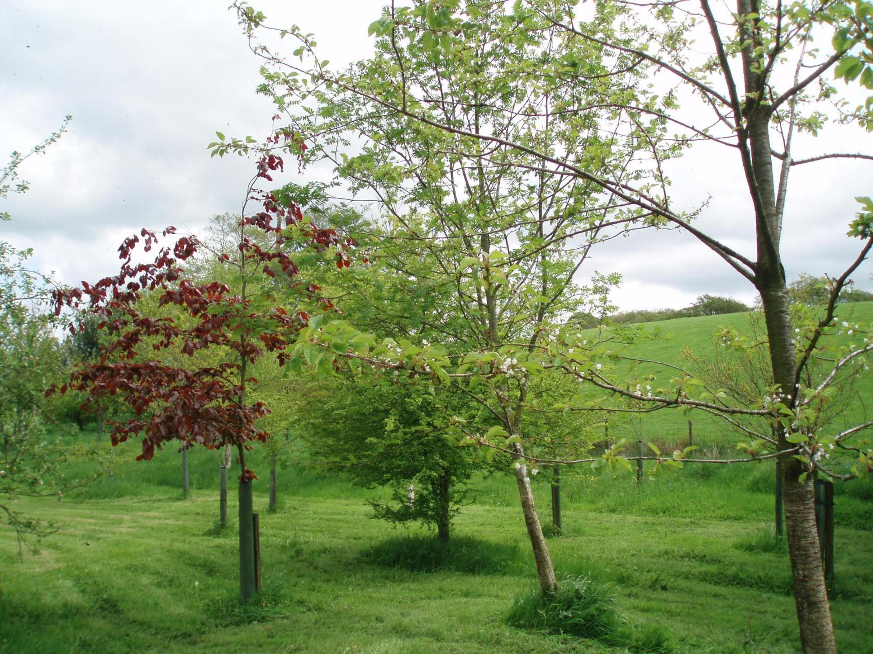 Foxhill Barn view 5
