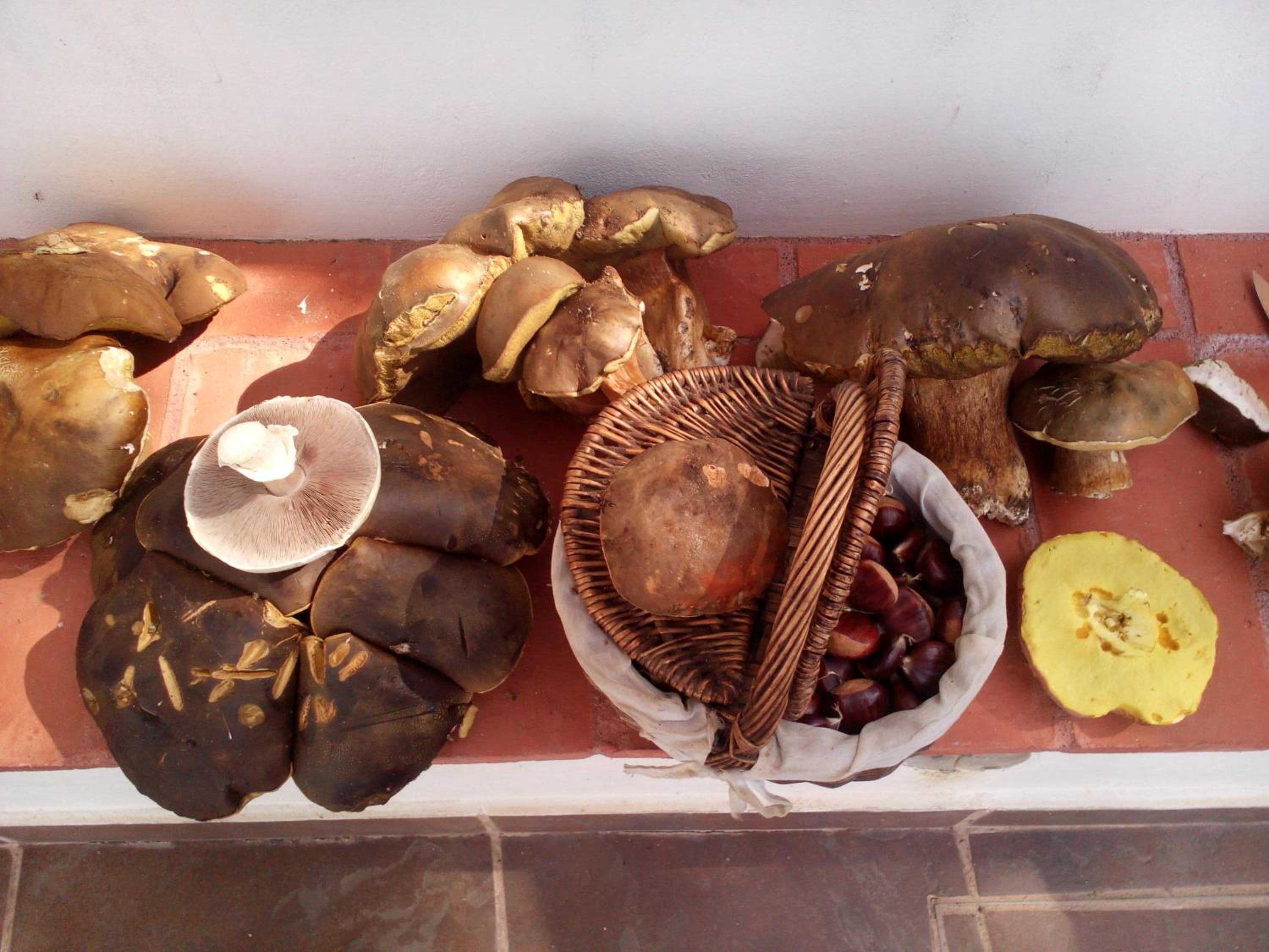 Alojamiento Rural Camino Beturia