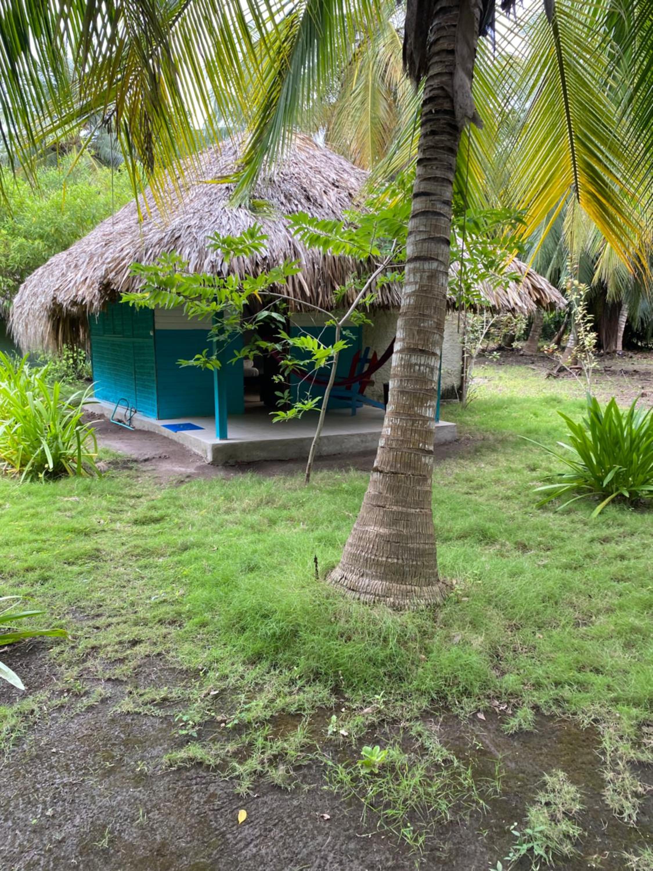 Eco Hotel Las Palmeras view 3