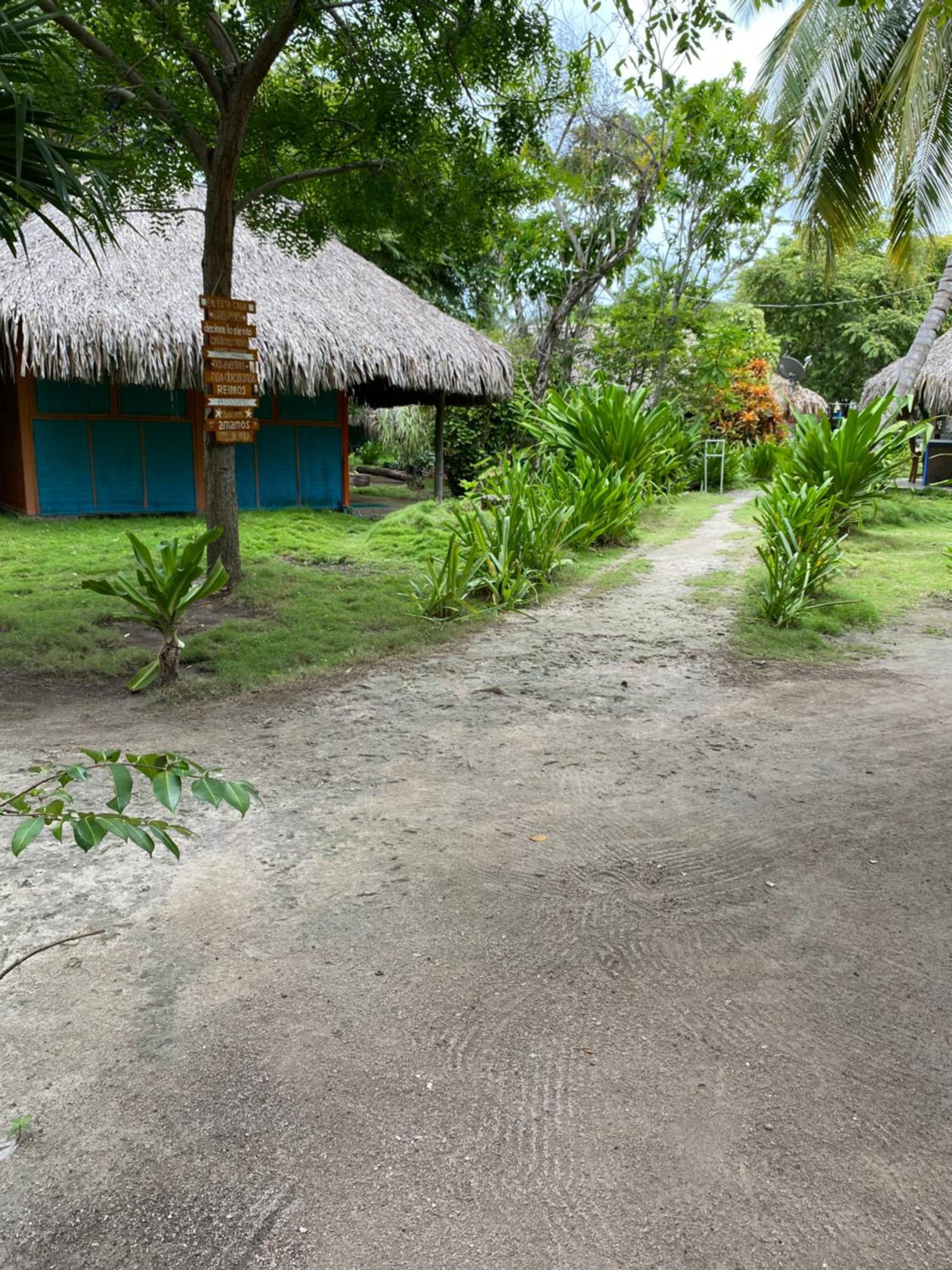 Eco Hotel Las Palmeras view 2