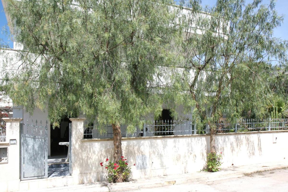 Villa Marlene photo 2