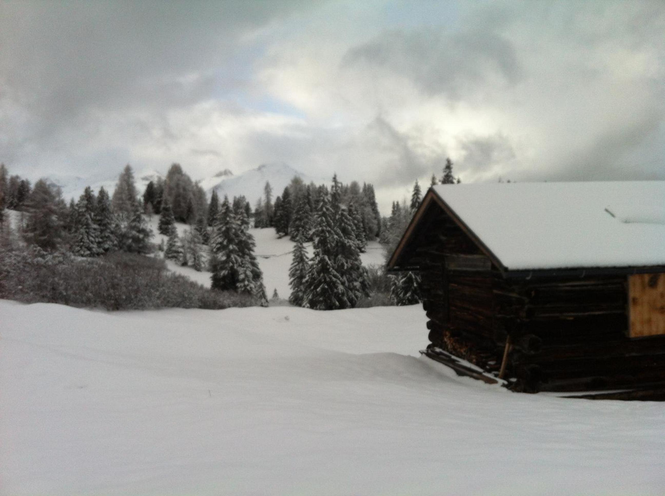 Riatschhof