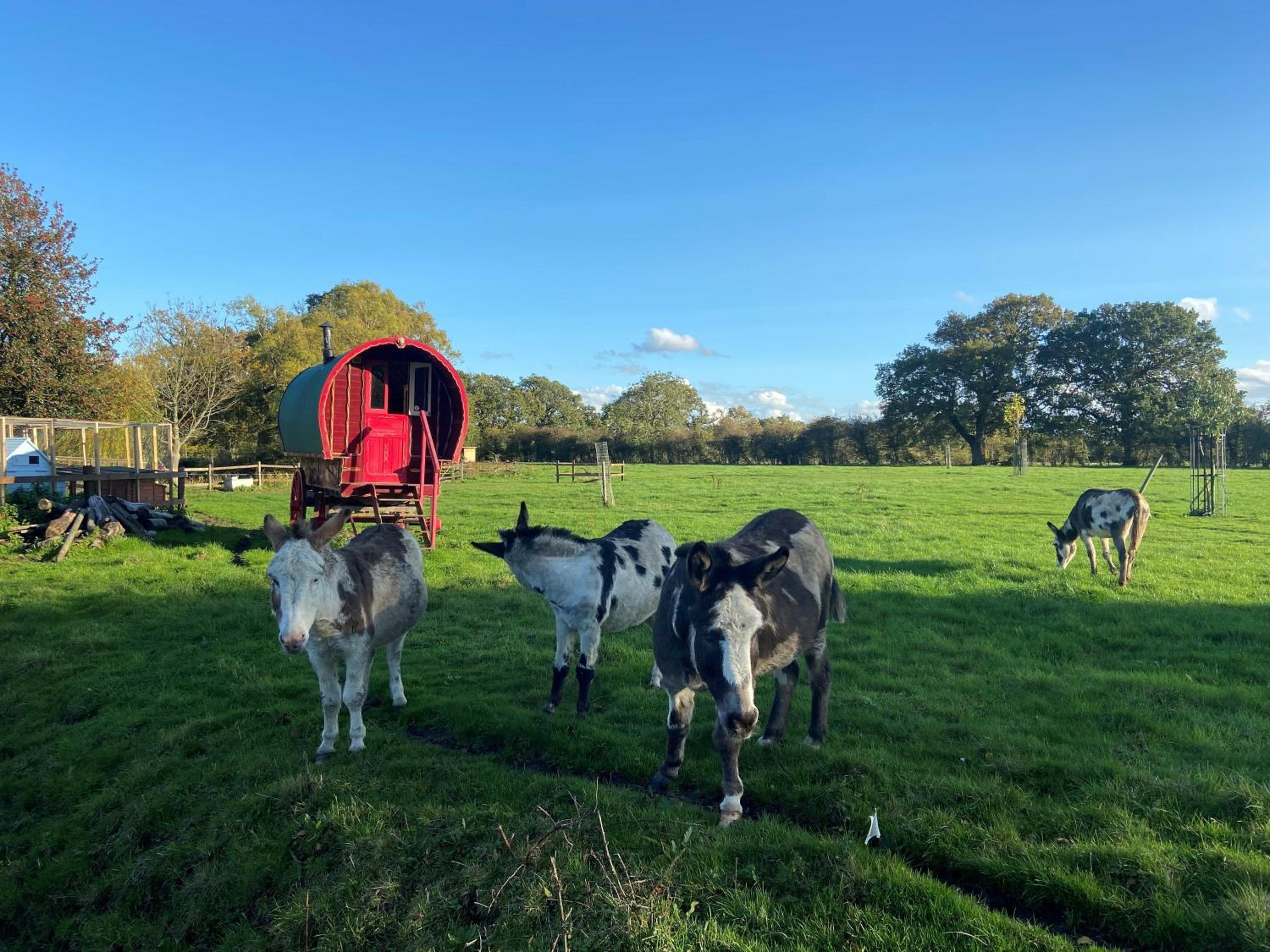 other