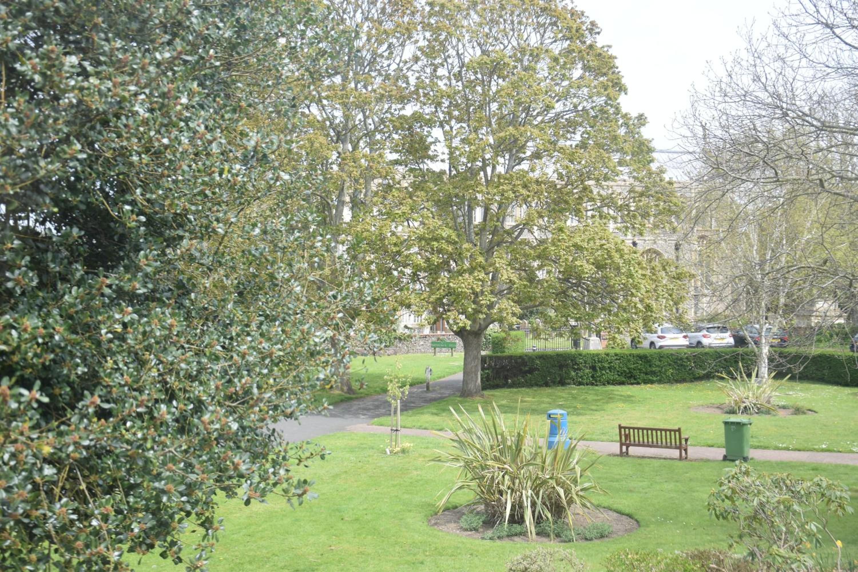 Photo 18