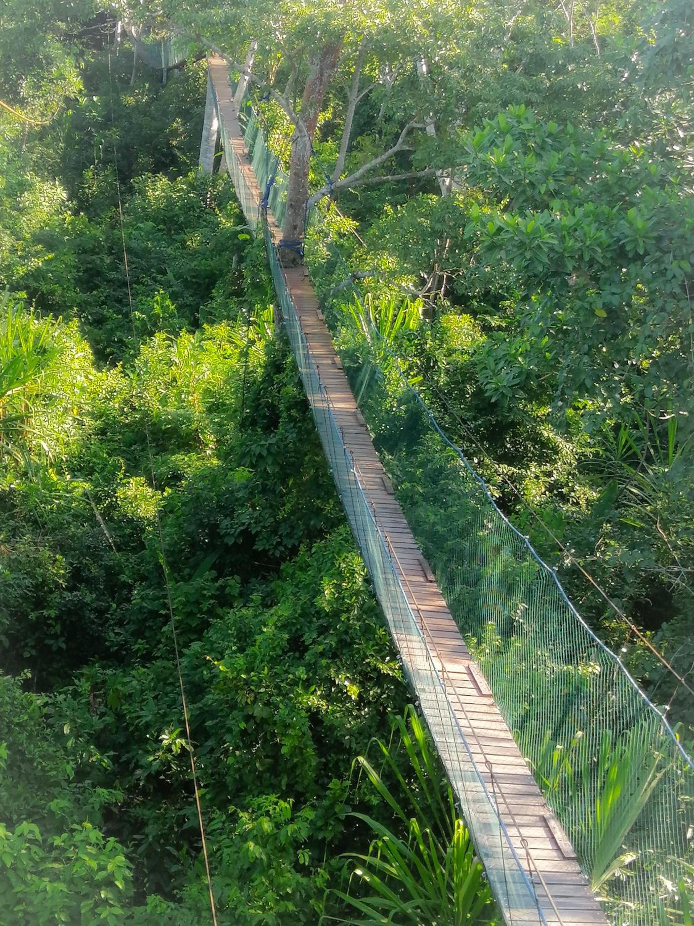 Photo 47