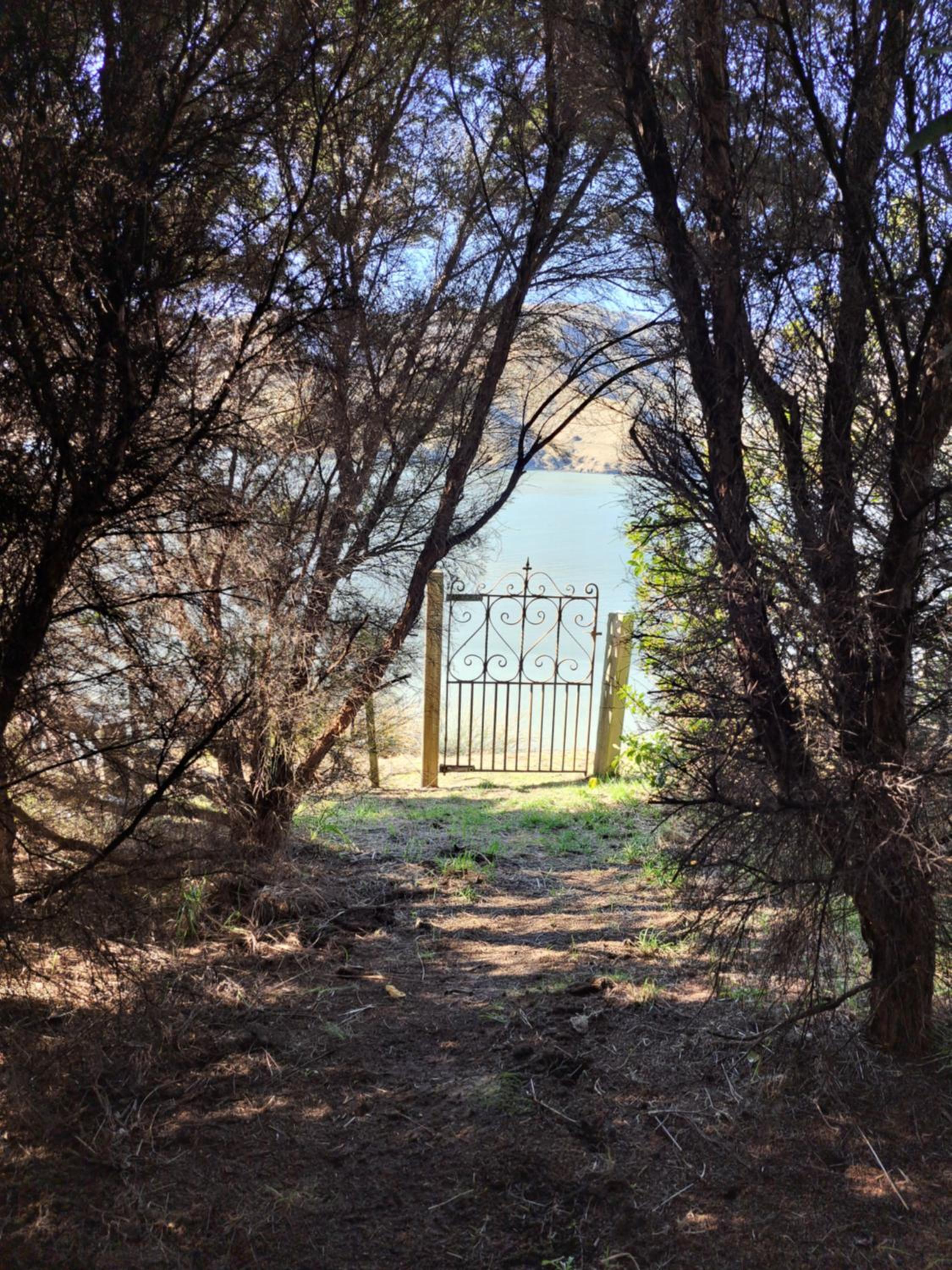 Photo 14