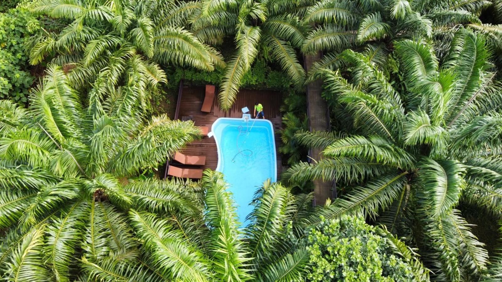 Khaosok Good view Resort - SHA PLUS