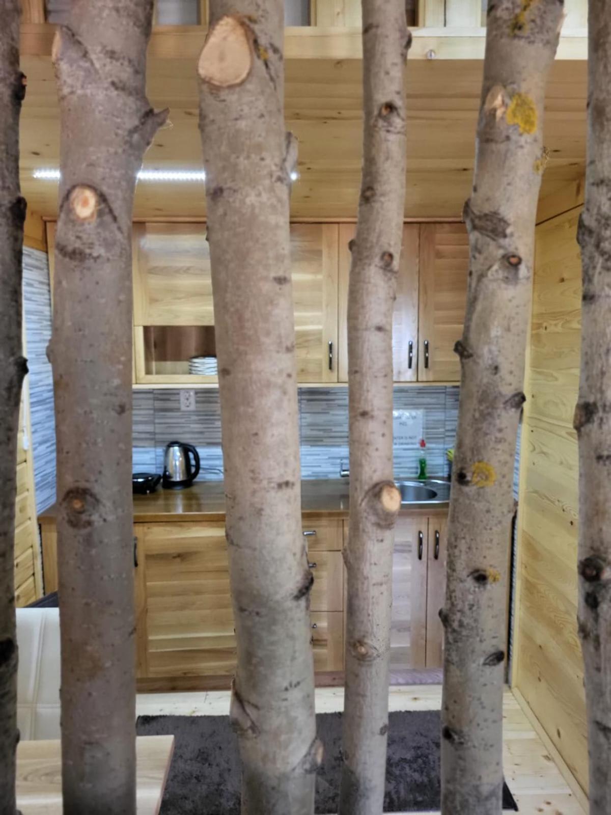 Wooden House Ripac