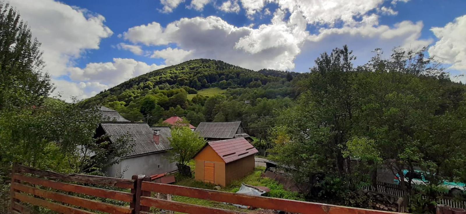 Pensiunea Casa Motilor view 4
