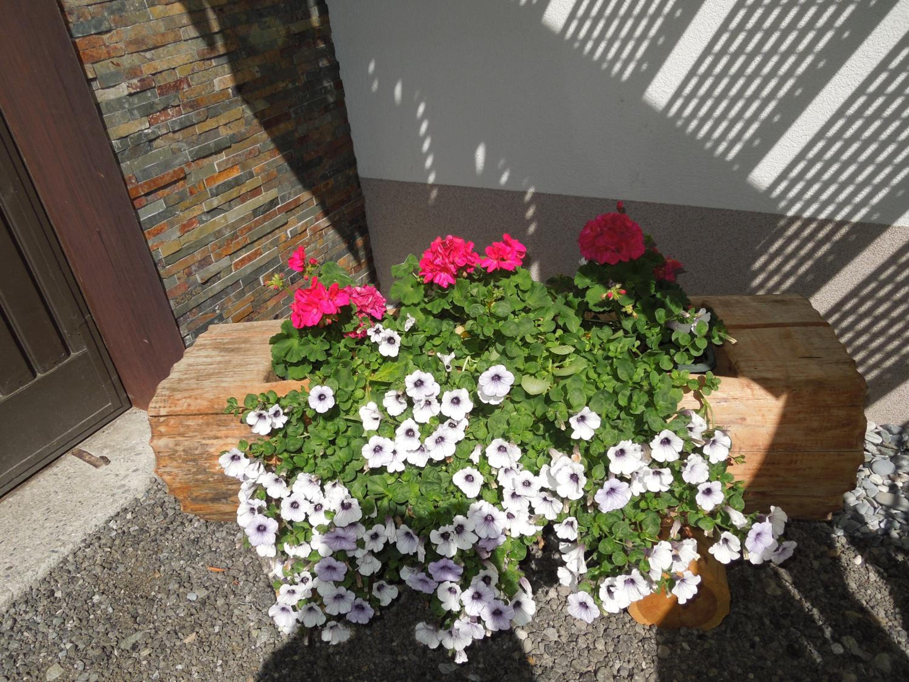 Photo 55