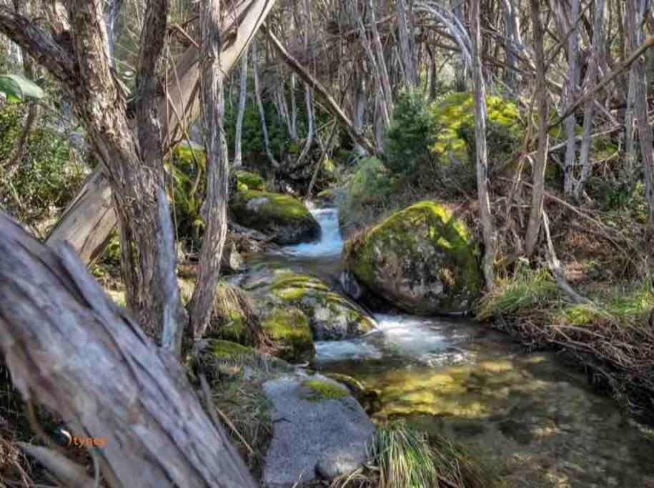 Walk to Slopes & Village, Stylish 2BR Thredbo Chalet with Garage