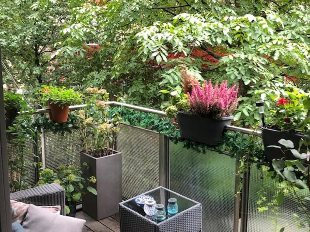Best Apartment in the Center of Berlin with Big Terrace