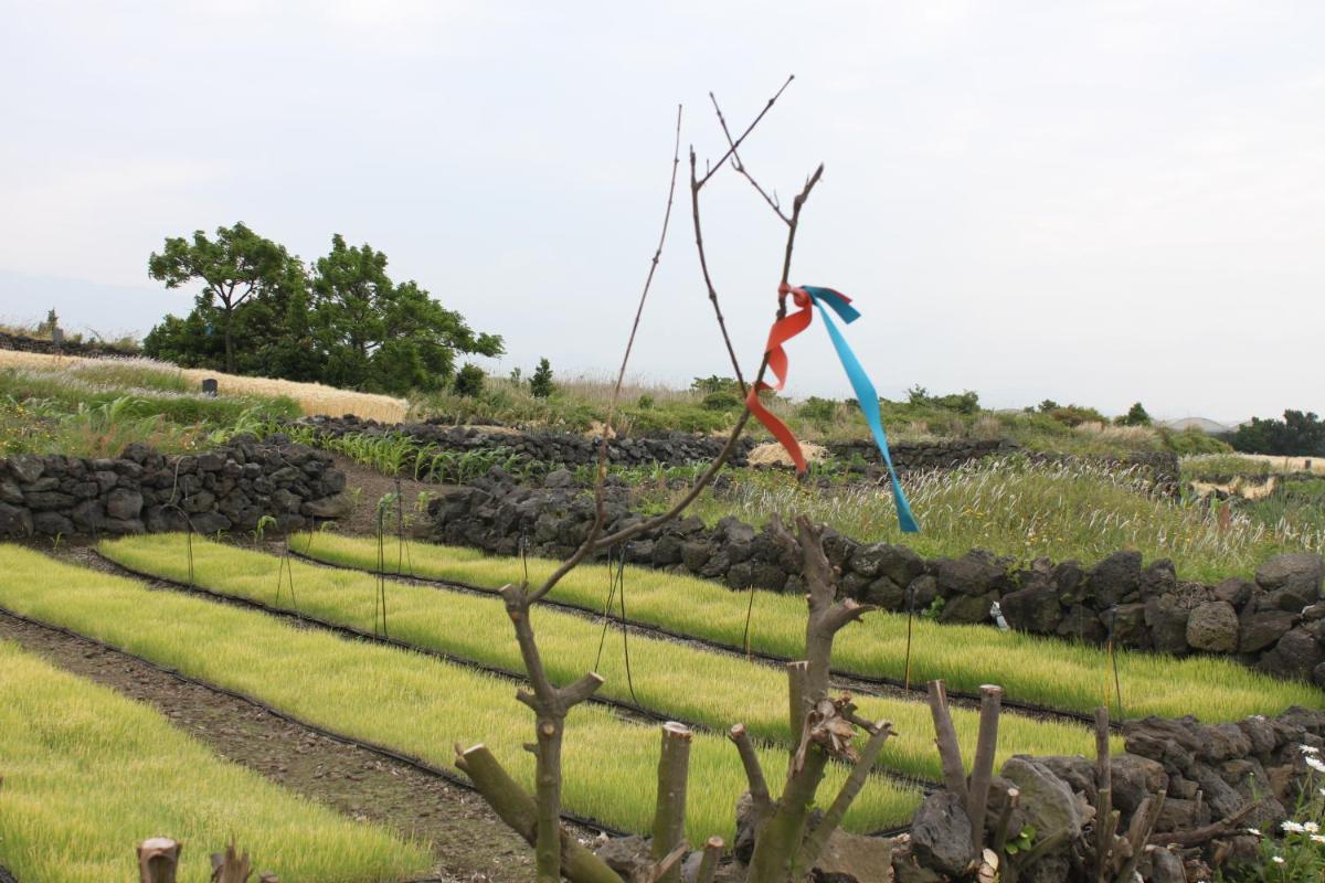 Jeju Gillime Pension