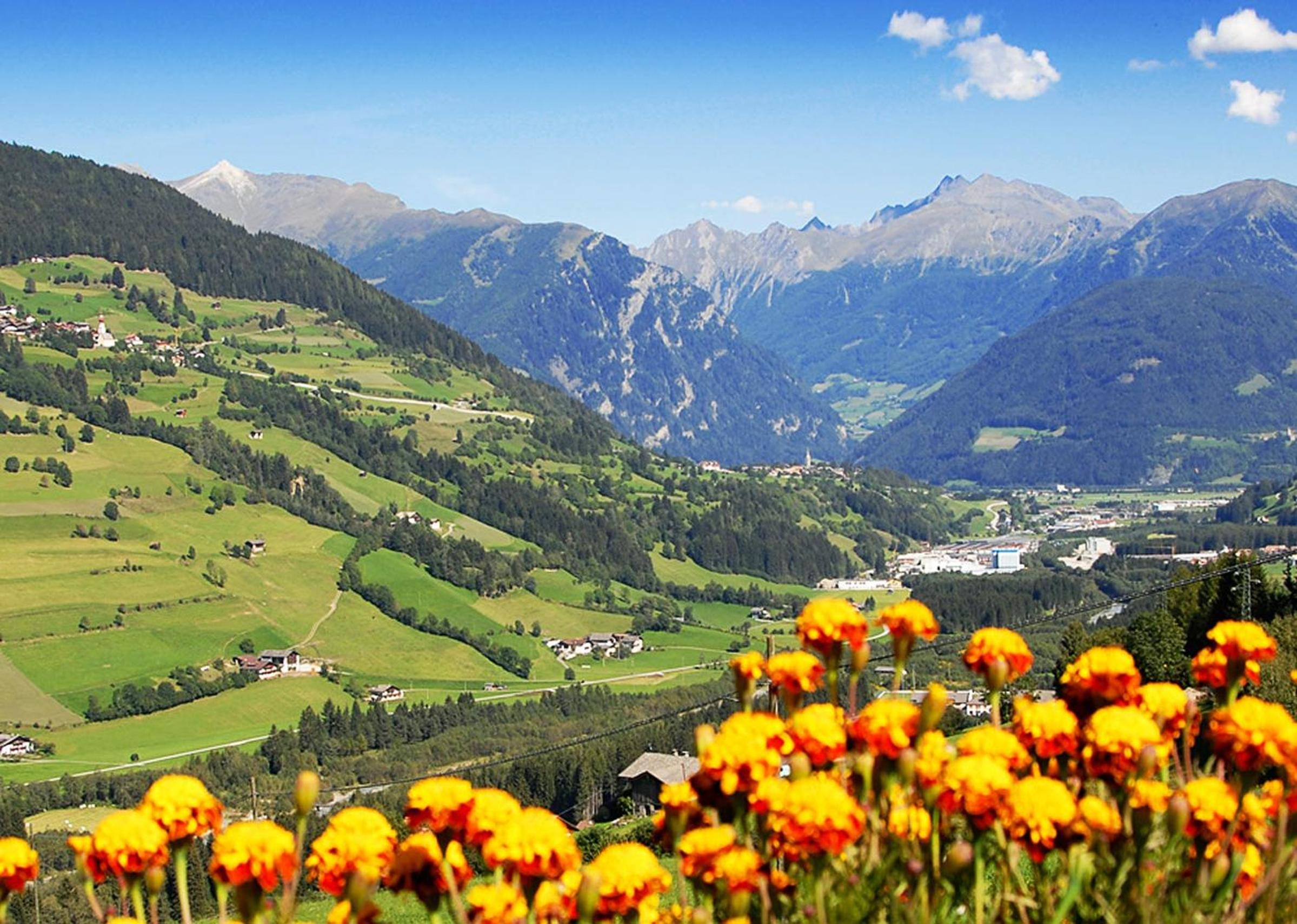 Parigger Apt Lavendel