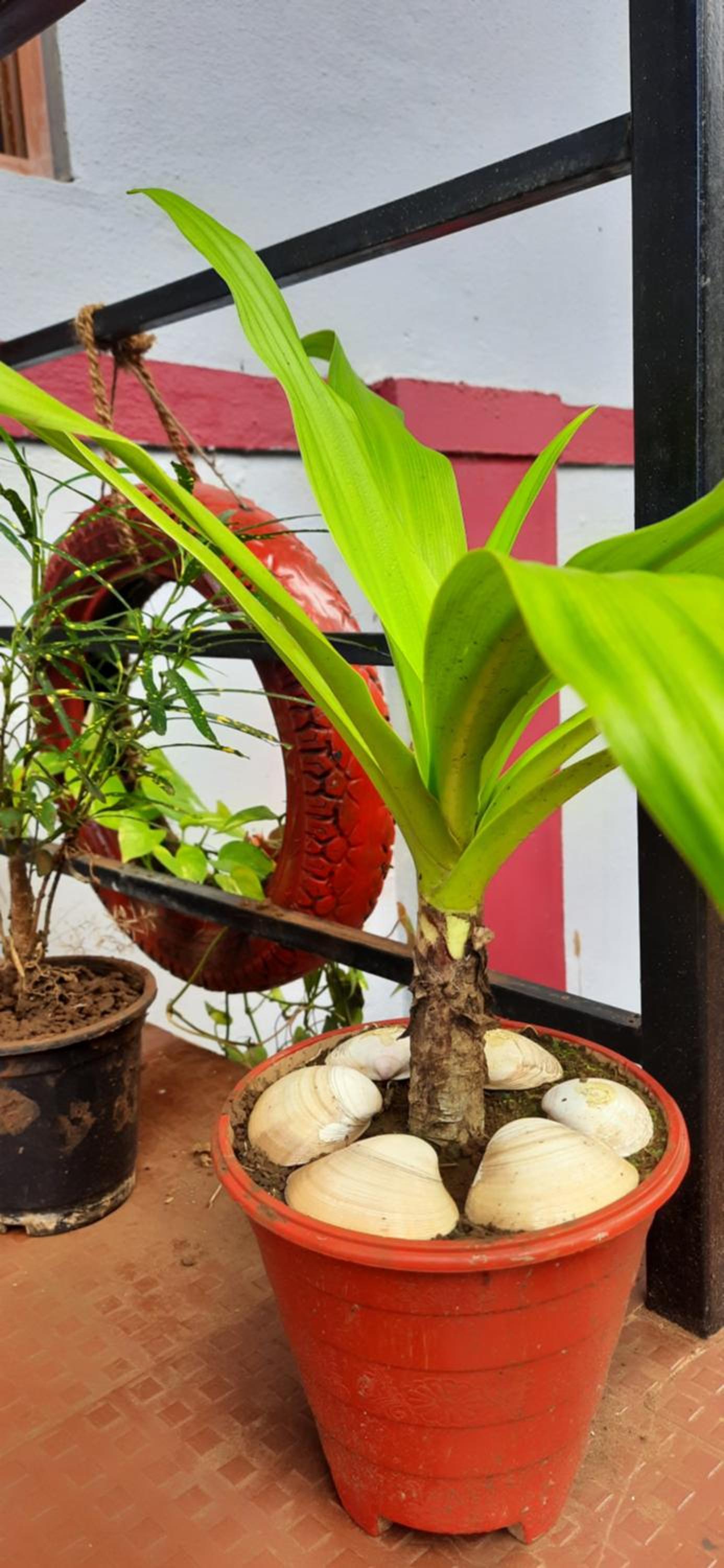 Bageecha B&B- Vaayu, photo 20