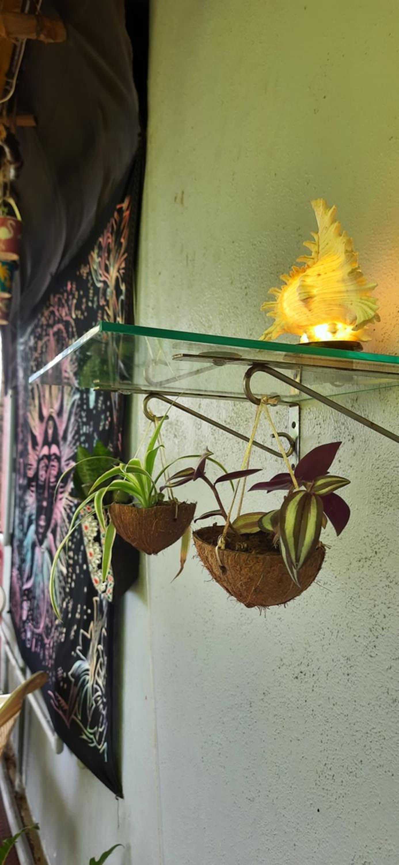 Bageecha B&B- Vaayu, photo 58