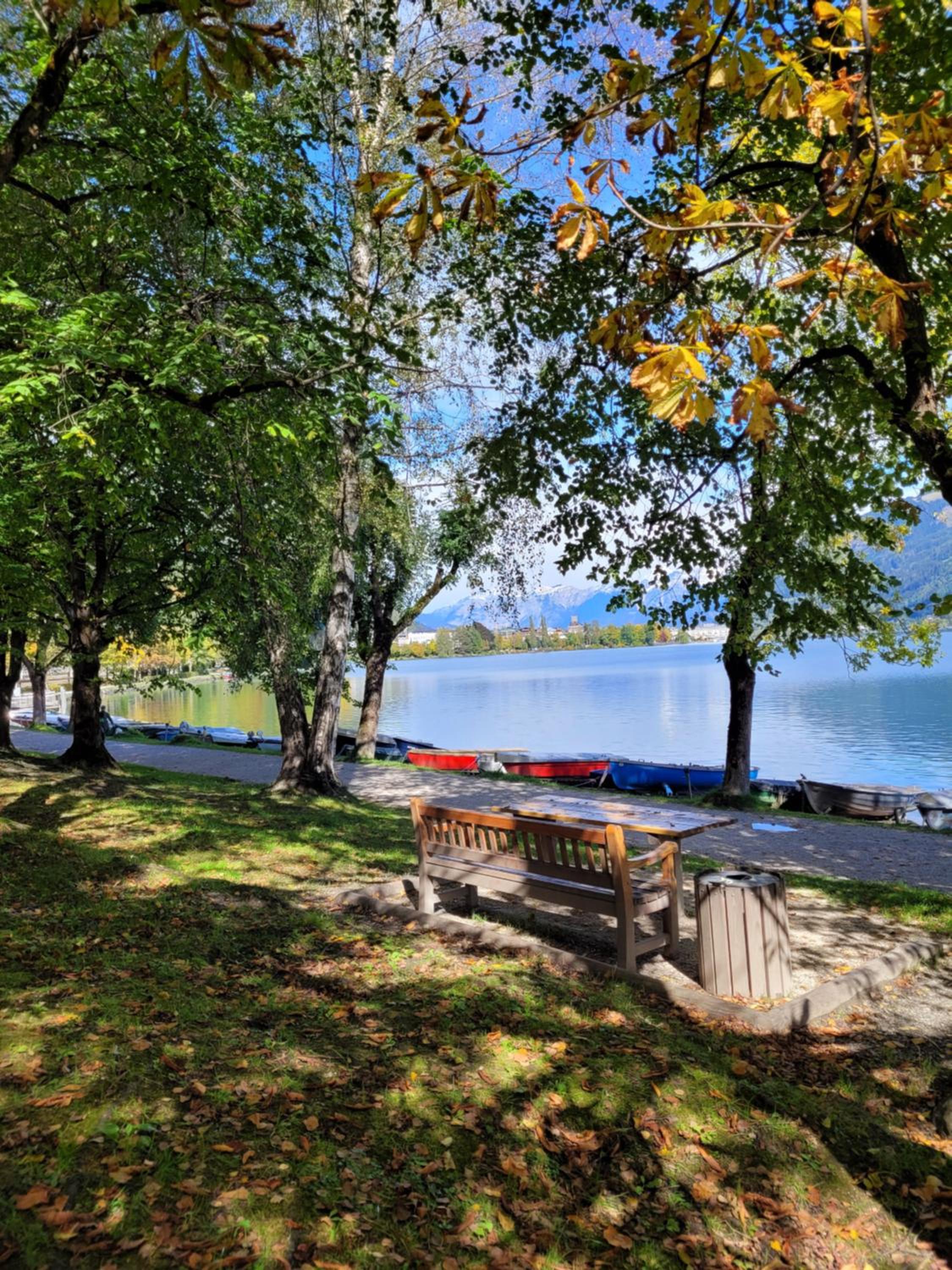 Panorama Apartments - Steinbock Lodges