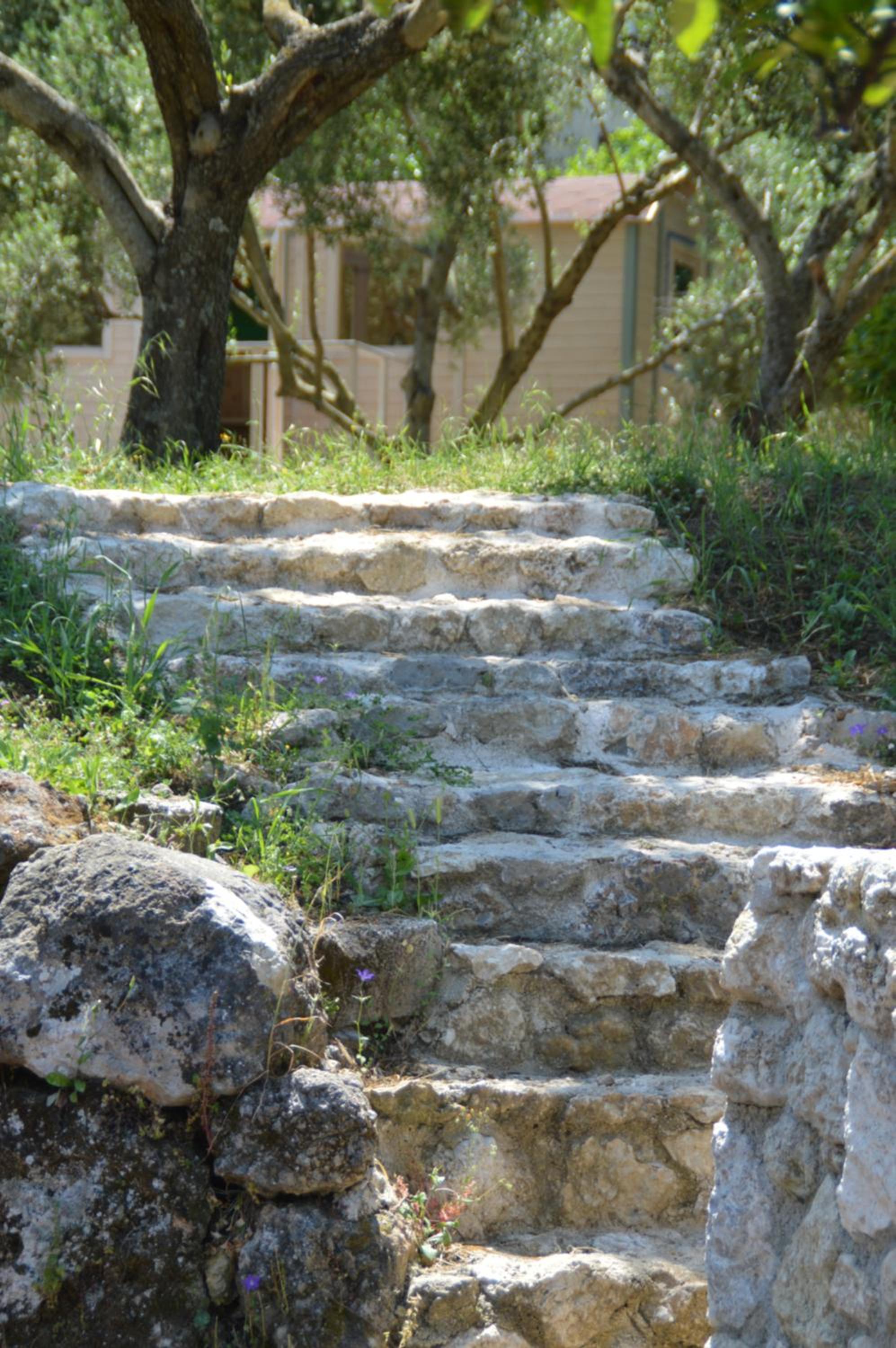 Photo 36