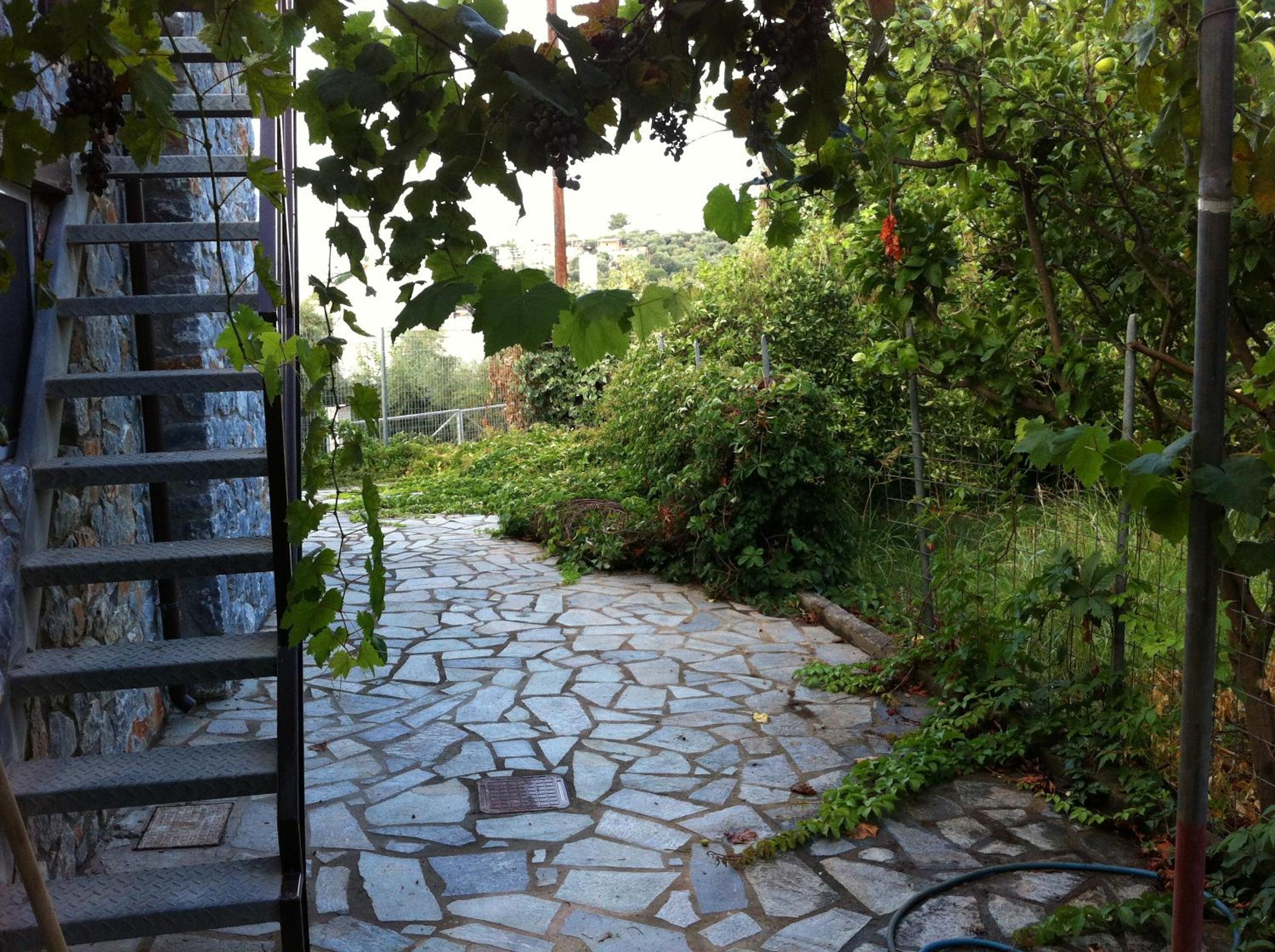 Photo 23