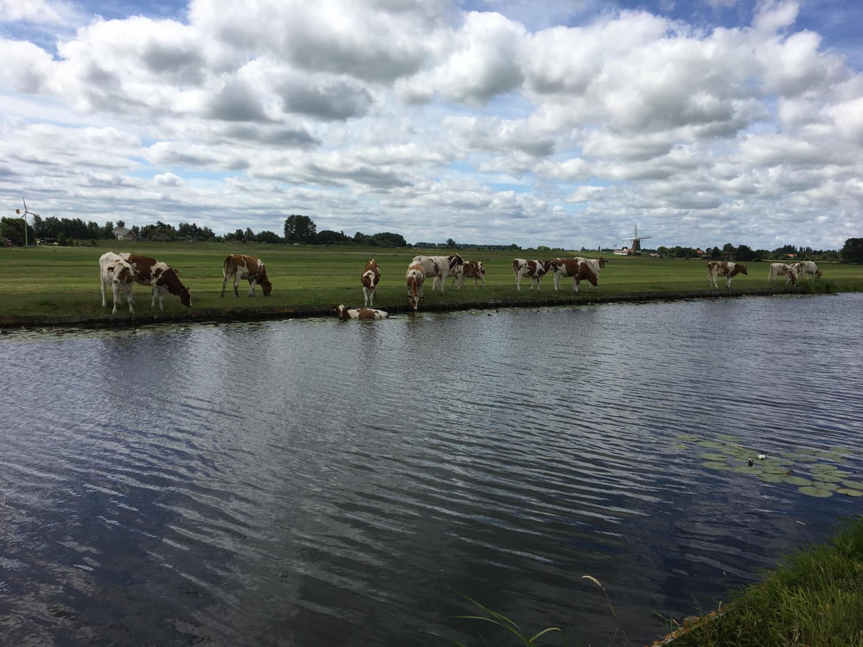 5 persons Holiday Home Comfort - Property Image 7