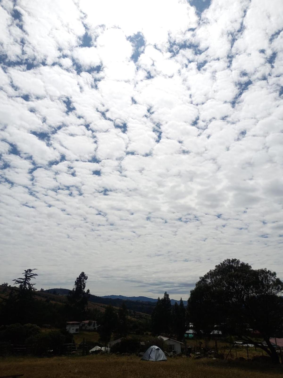 Photo 38