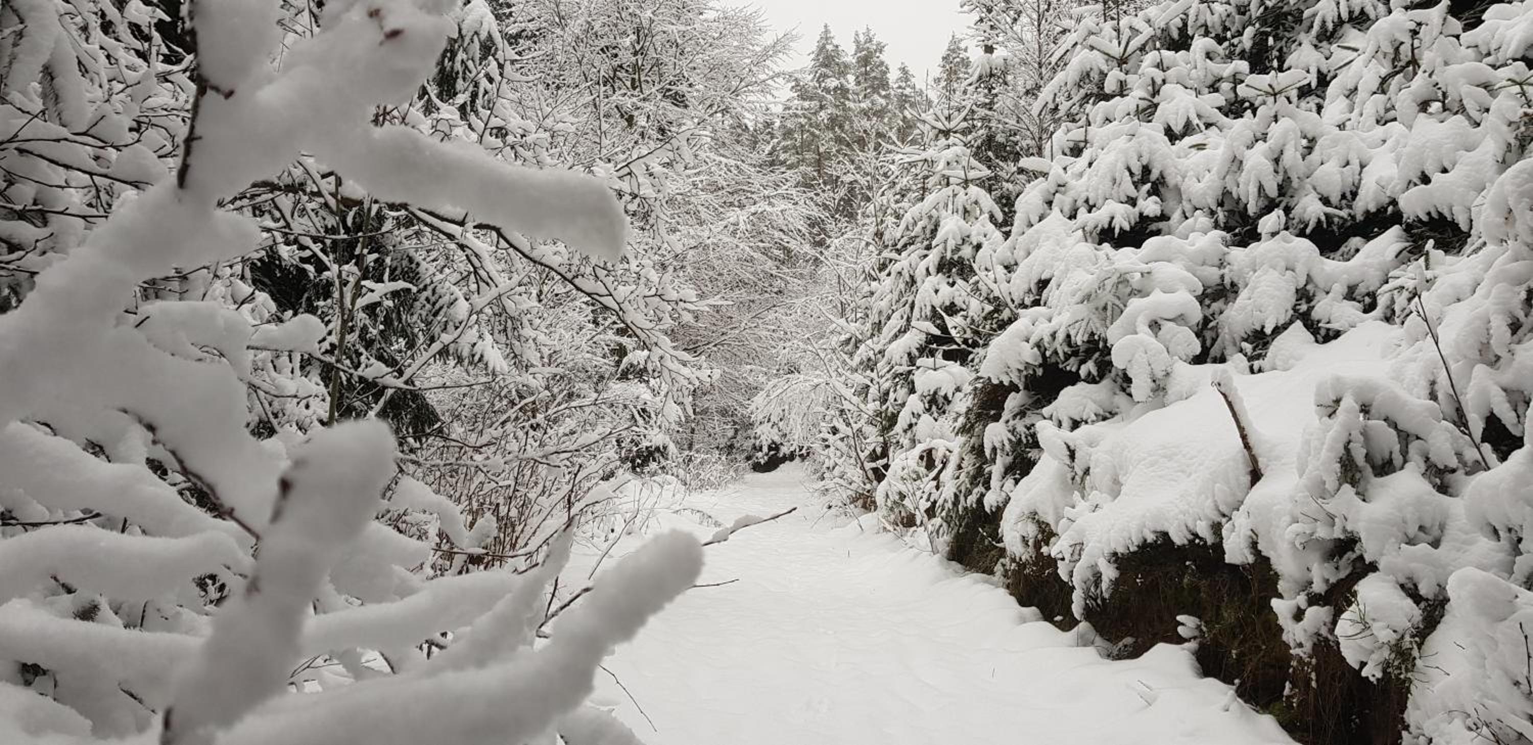 Podskalí Adršpach