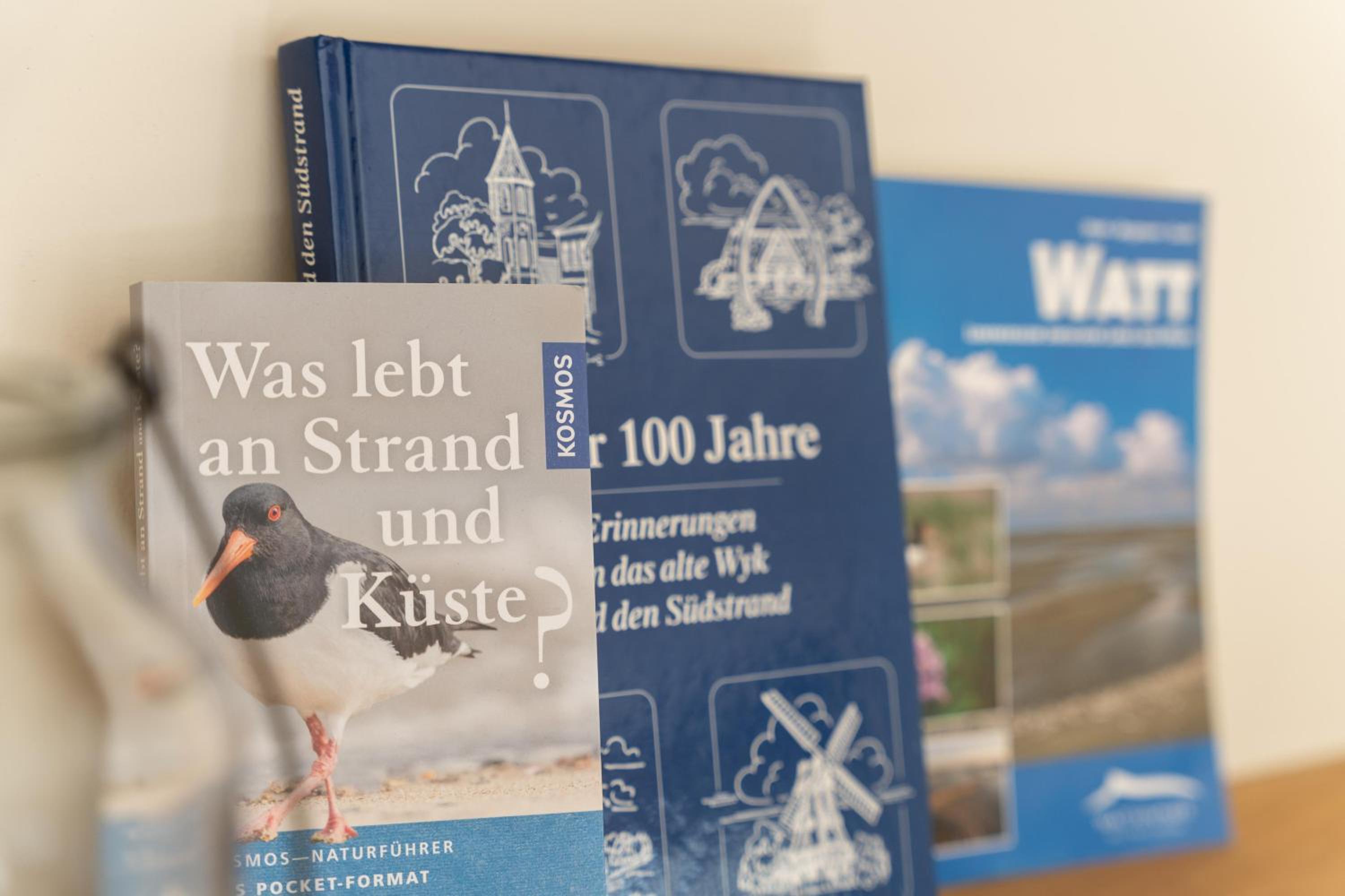 Haus Deichblick 2