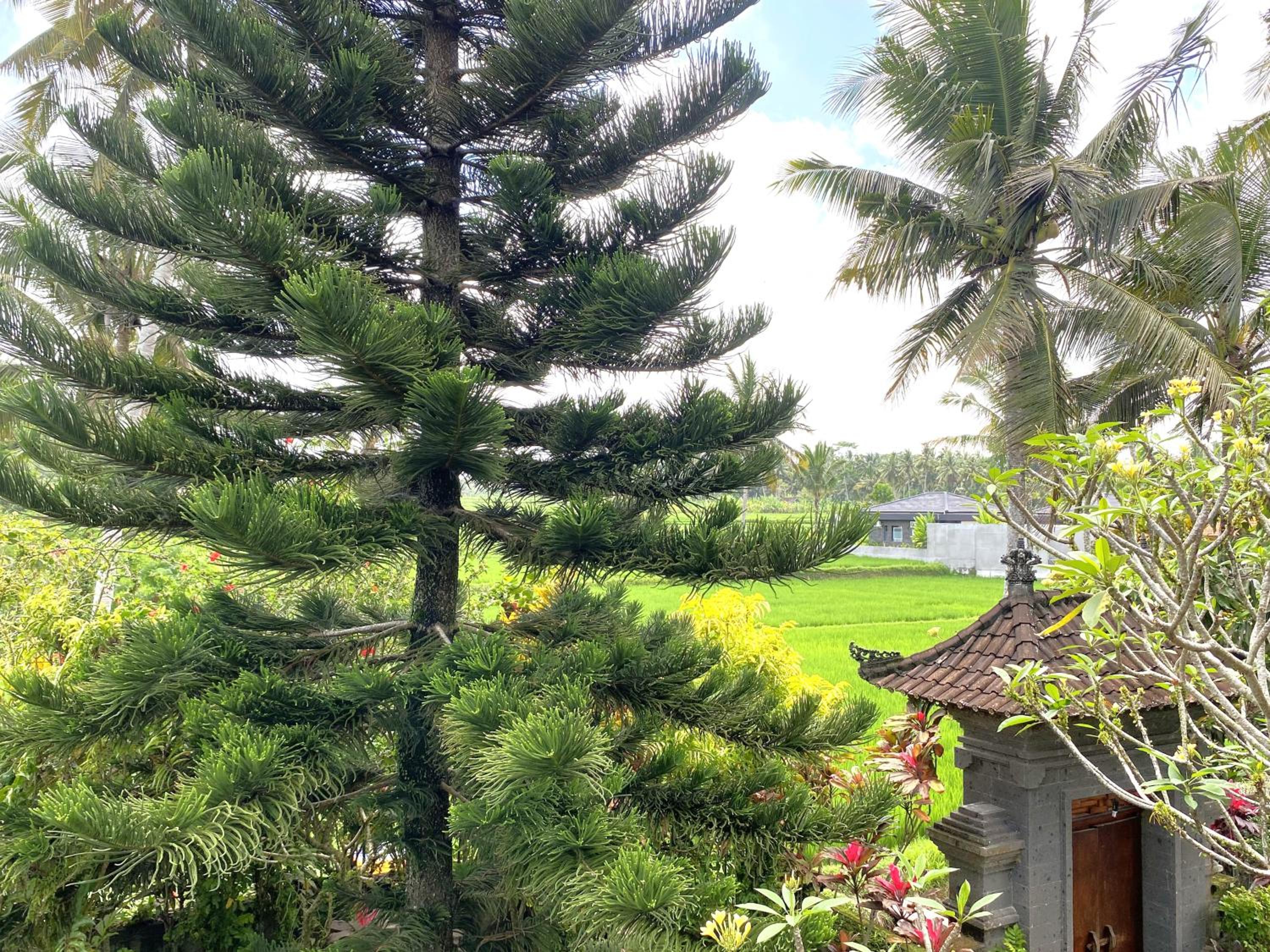 Villa Agung Khalia Ubud