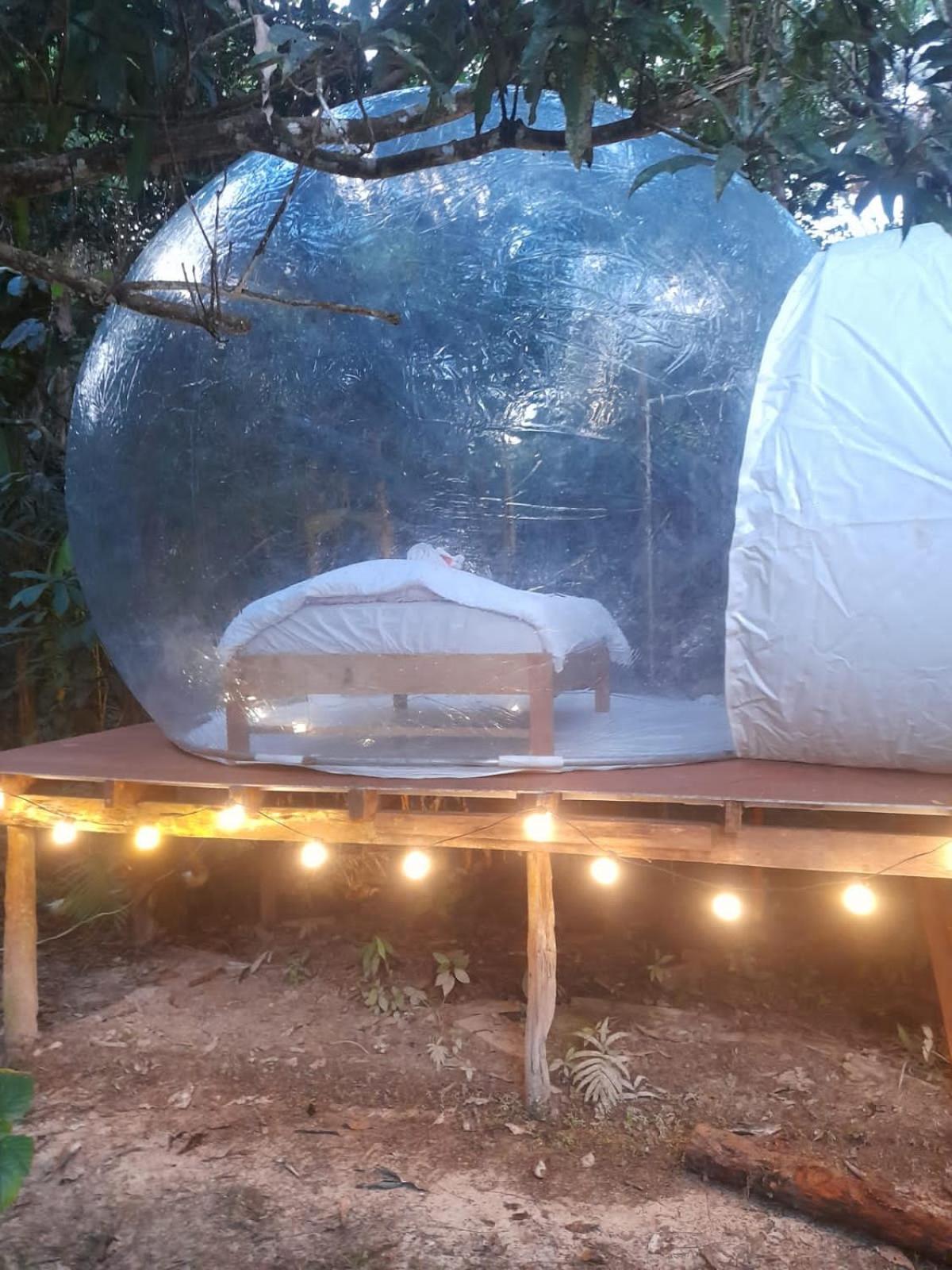 Glamping Amazonas view 3