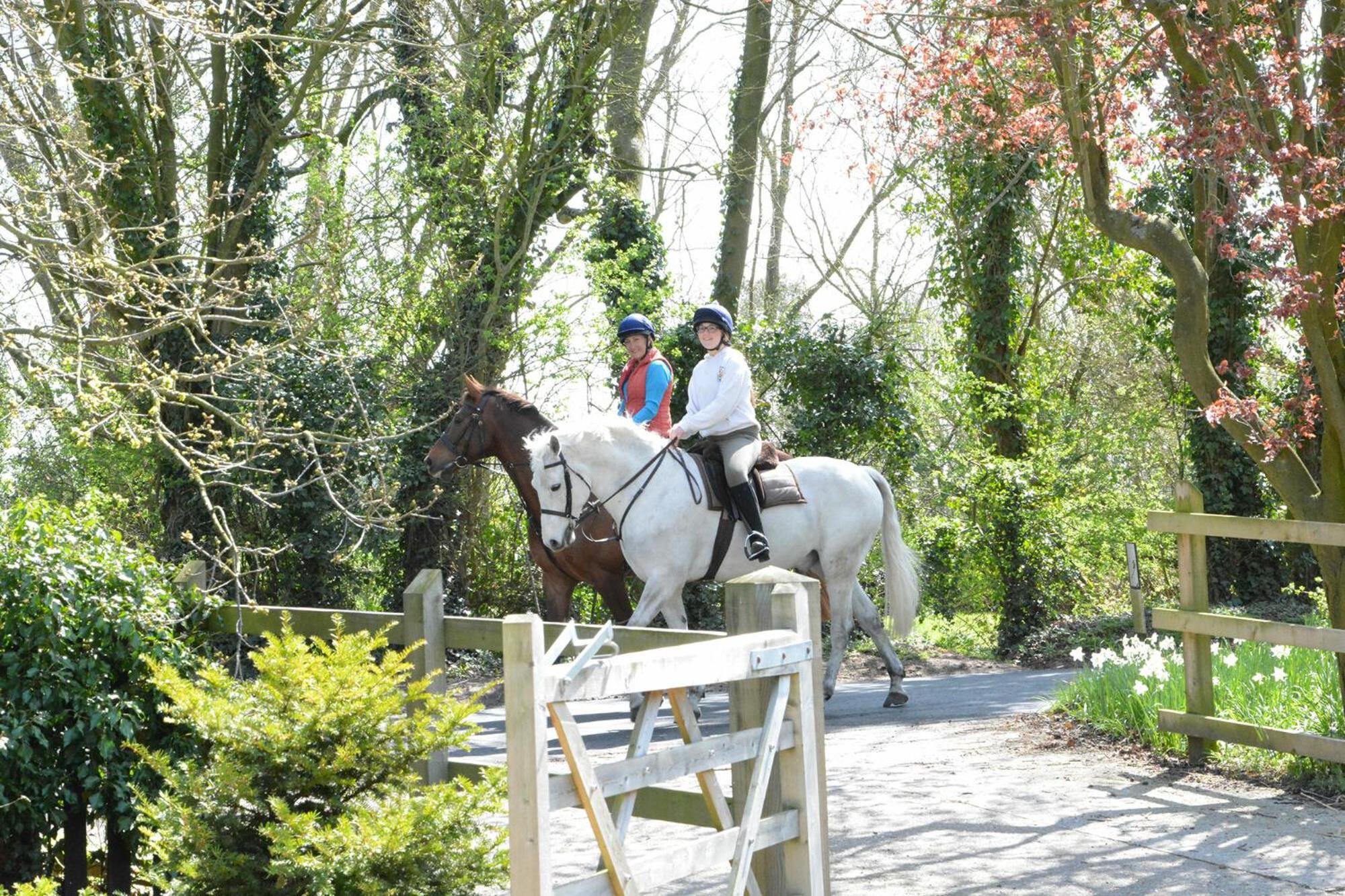 Yew Tree Farm Barn, Worlingworth view 3