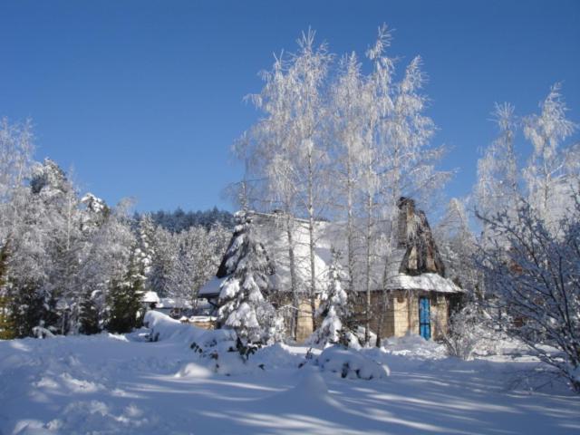 Photo 32