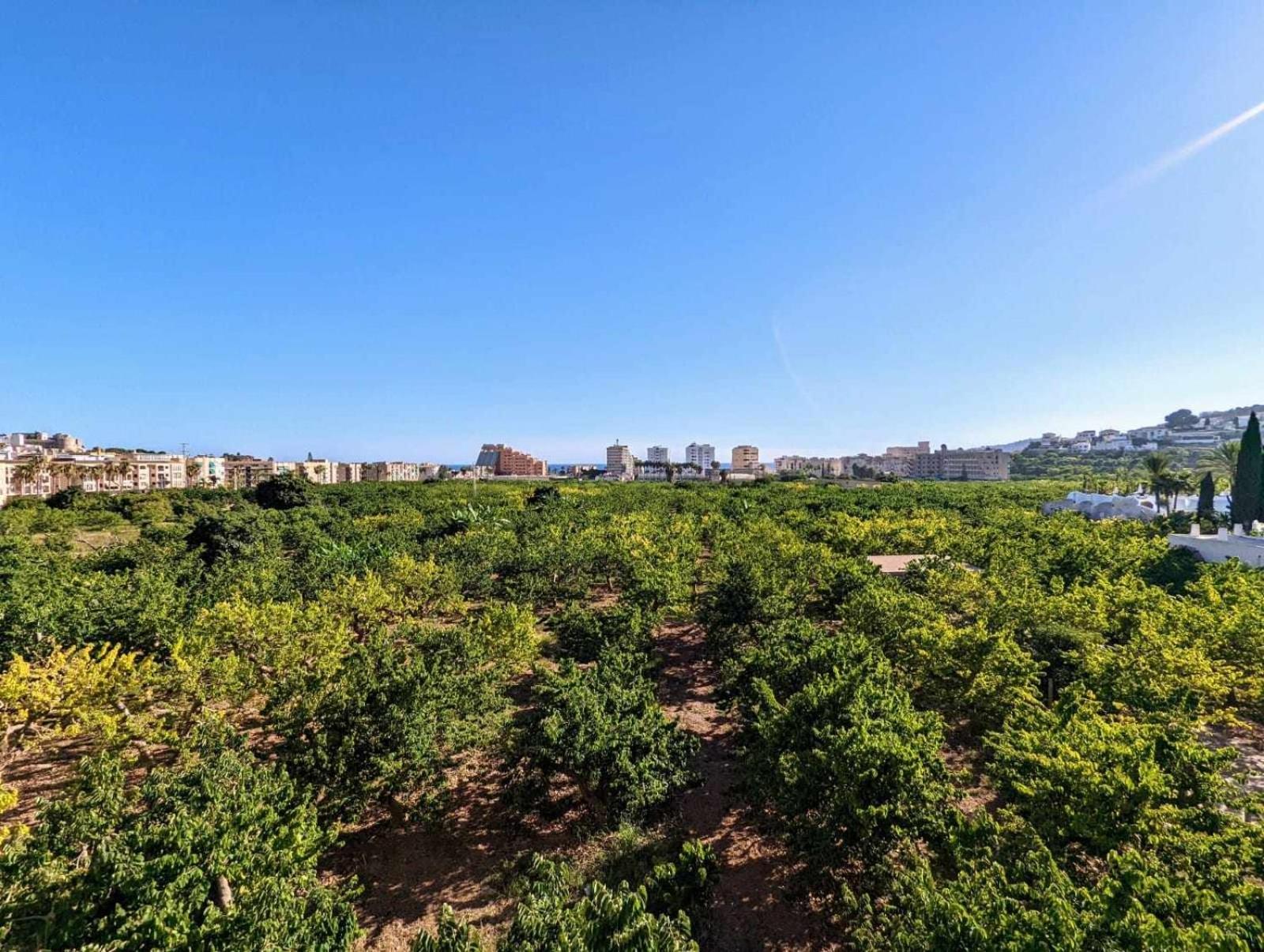 other