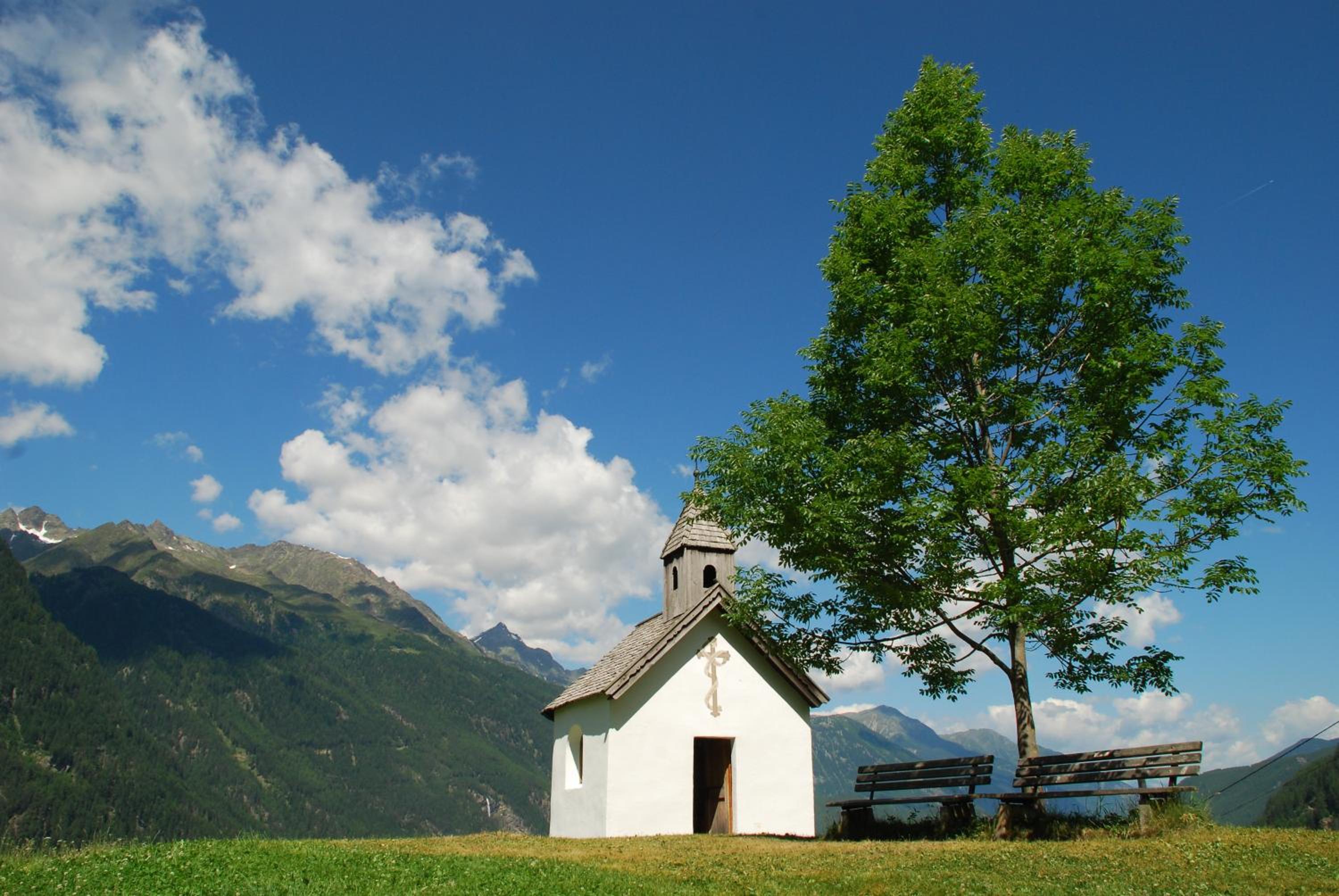 Photo 45