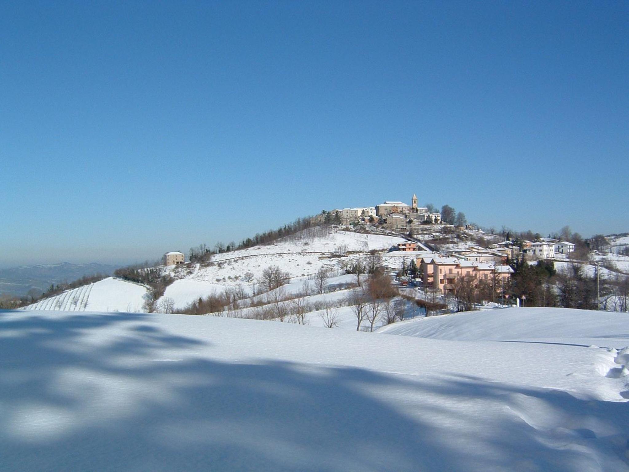 Photo 45