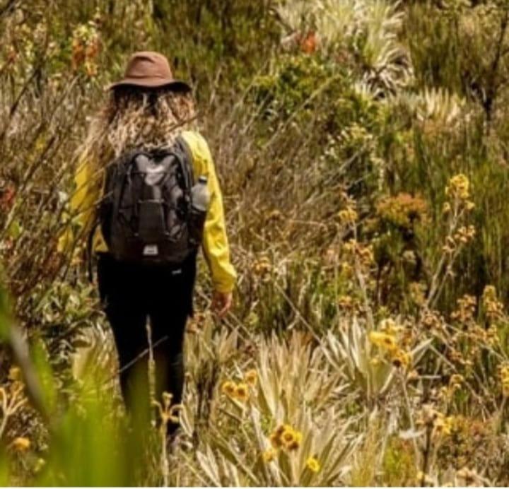 Termales SironaSpa