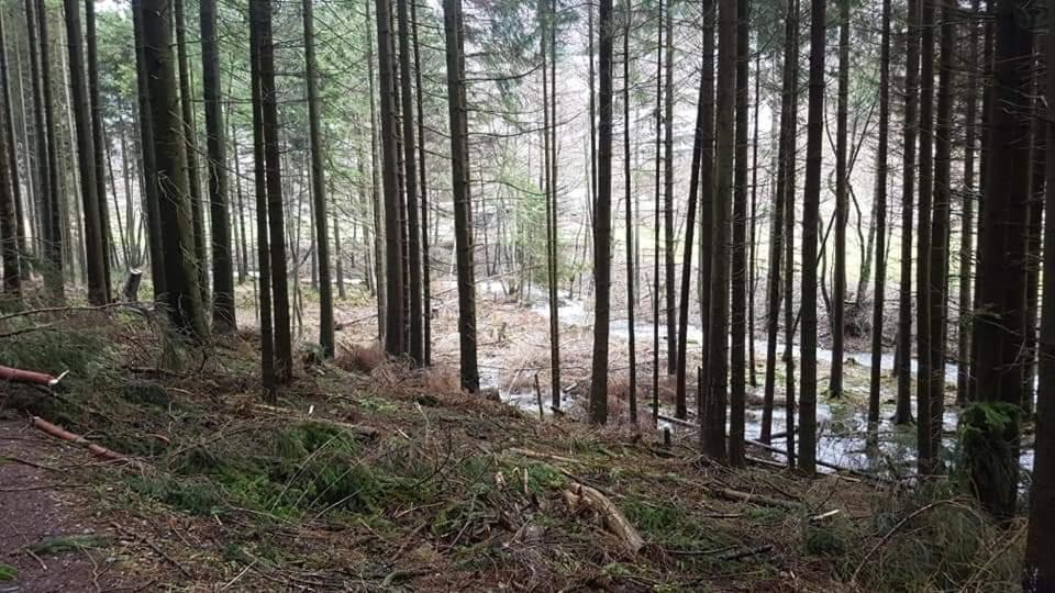 Vakantiewoning EvaLisa