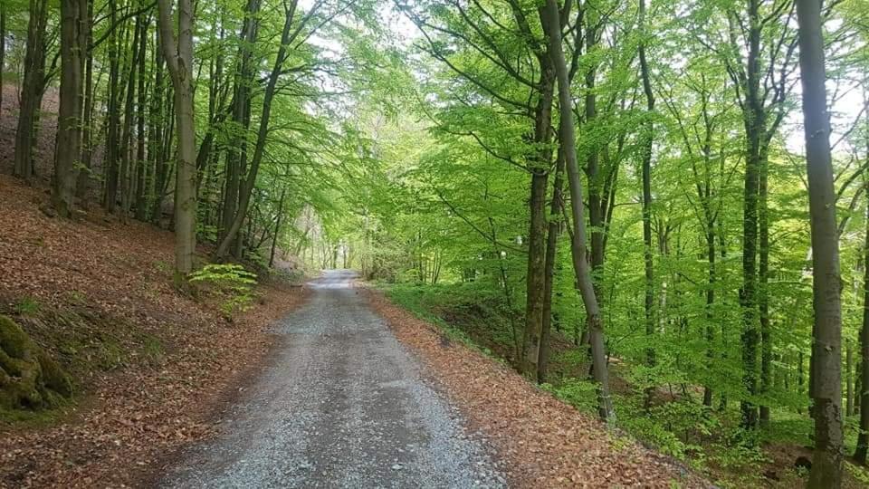 Vakantiewoning EvaLisa