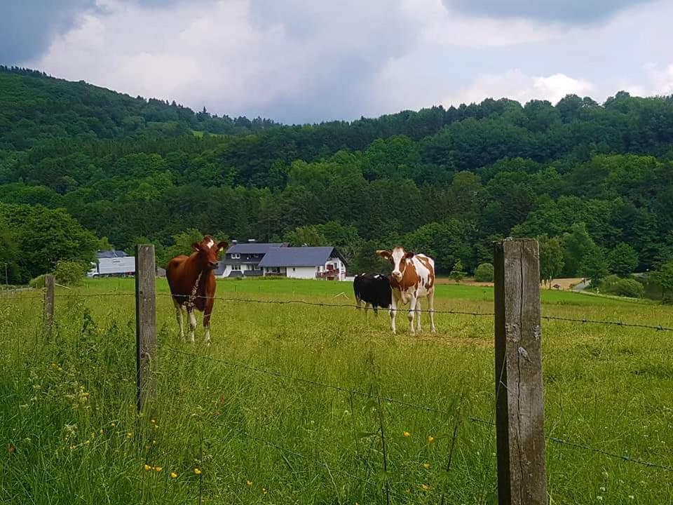 Vakantiewoning EvaLisa