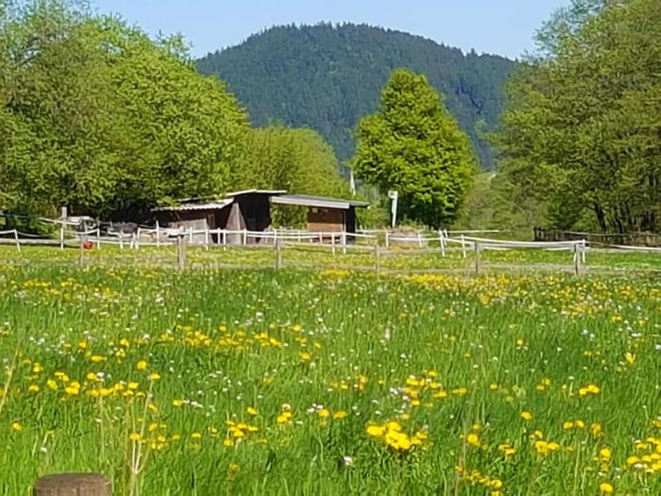 Vakantiewoning EvaLisa
