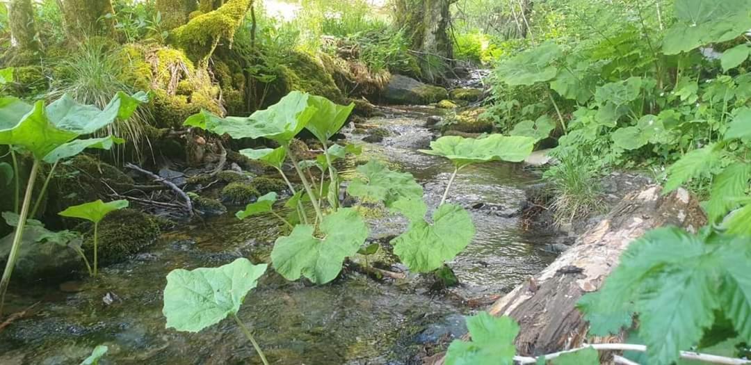 Vakantiewoning EvaLisa