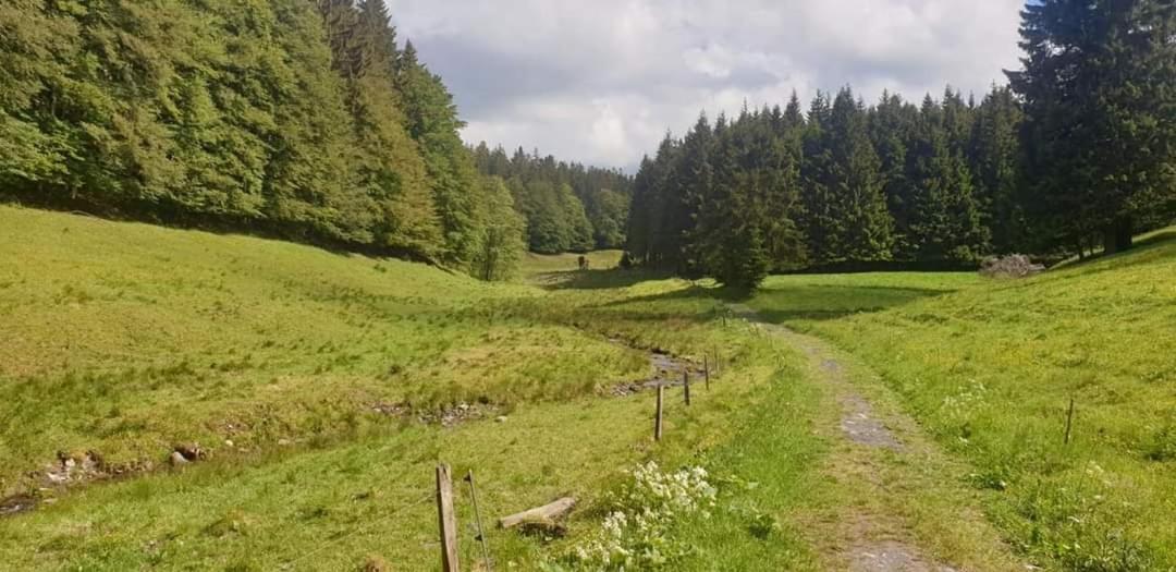Vakantiewoning EvaLisa