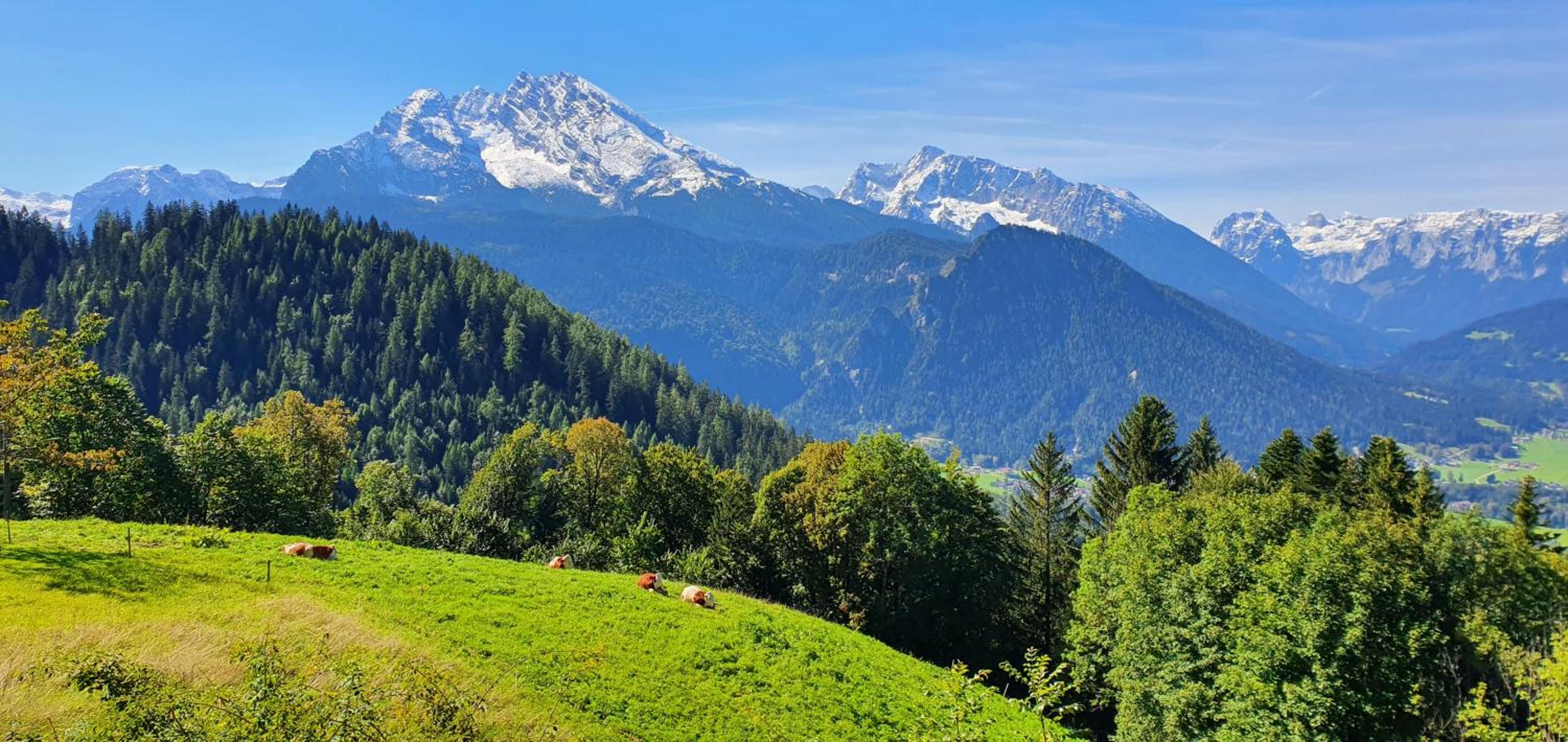 3 Bergpanorama und atenberaubende alpine Almlandschaft für absolute Nichtraucher