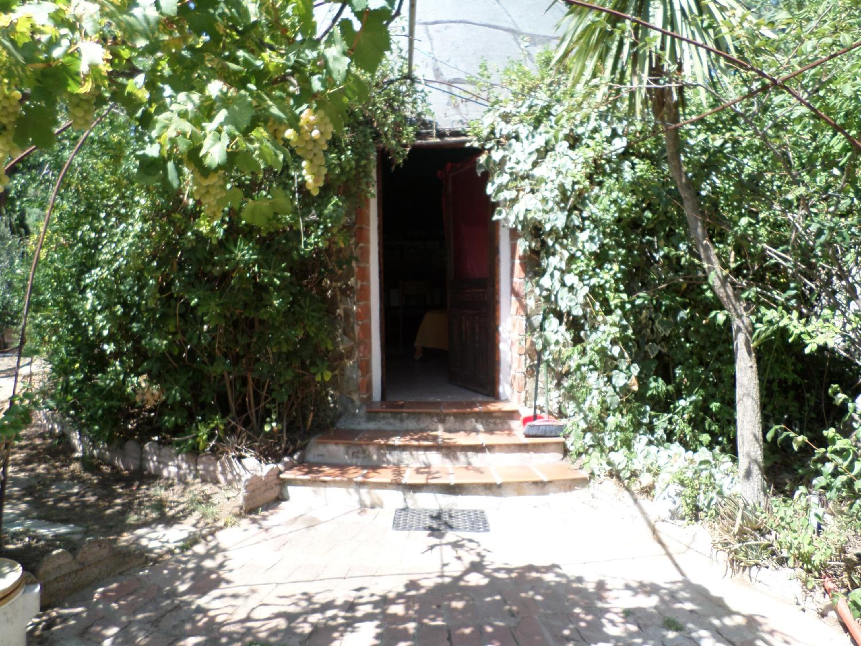 Photo 40